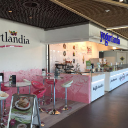 prodotti e servizi del franchising Yogurtlandia