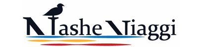 franchising Nashe_Viaggi