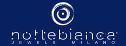  logo Franchising Nottebianca Srl