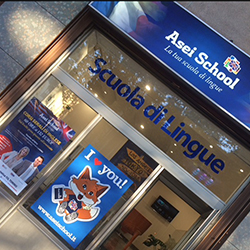 Franchising Asei School