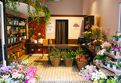 Franchising Frida's Flower