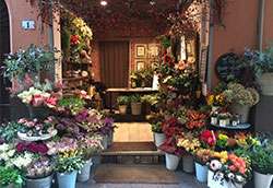 Franchising Frida's Flower